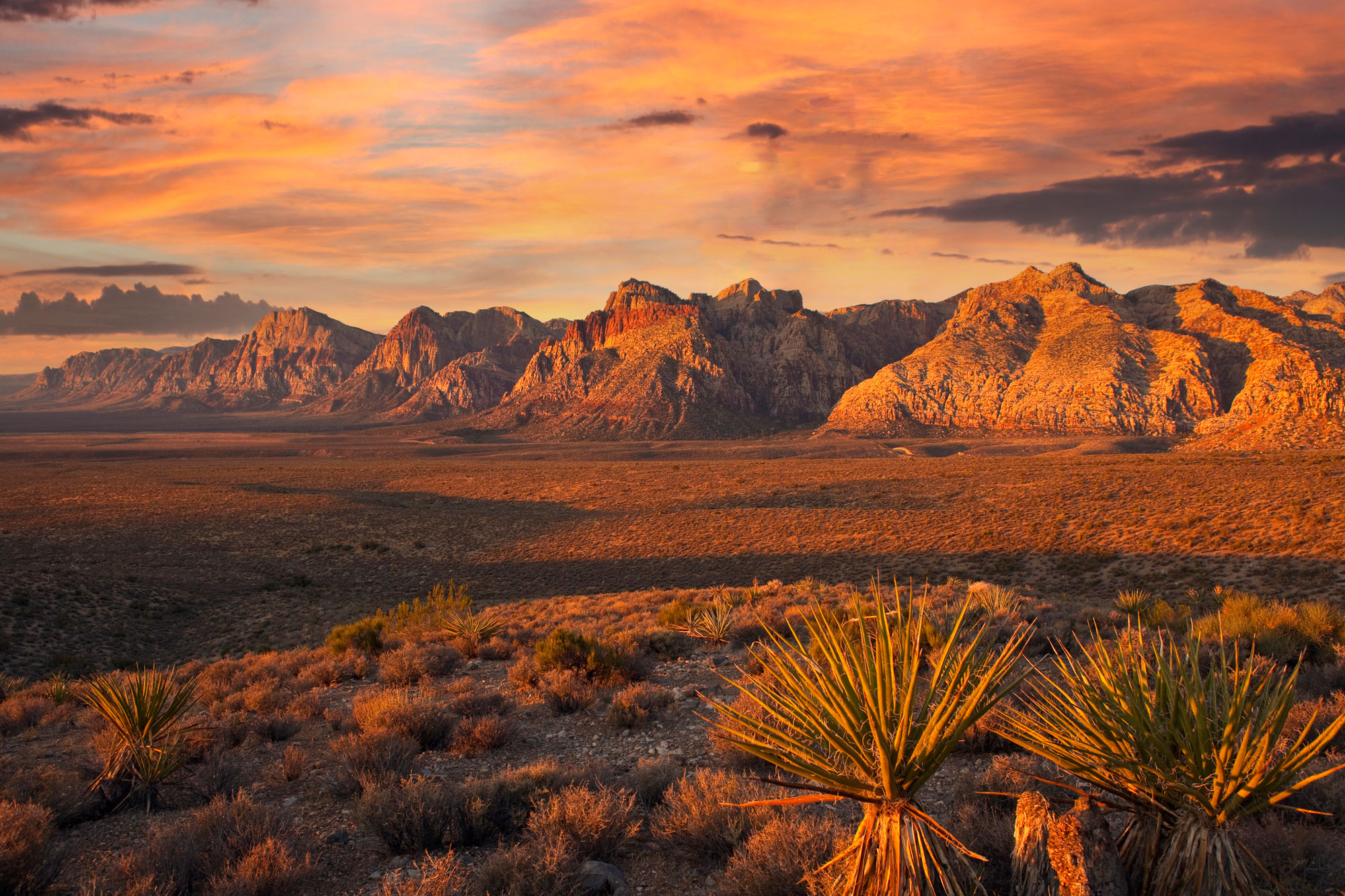 East Las Vegas